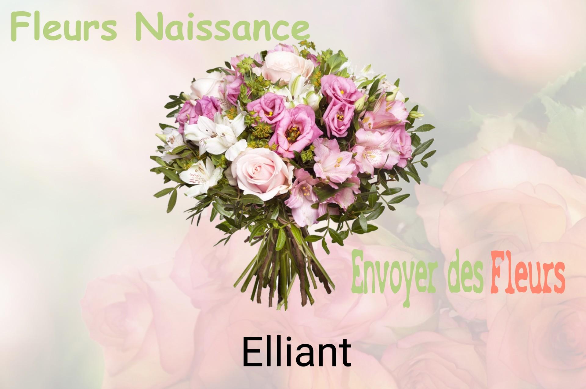 Bouquet de fleurs de naissance livré à Elliant