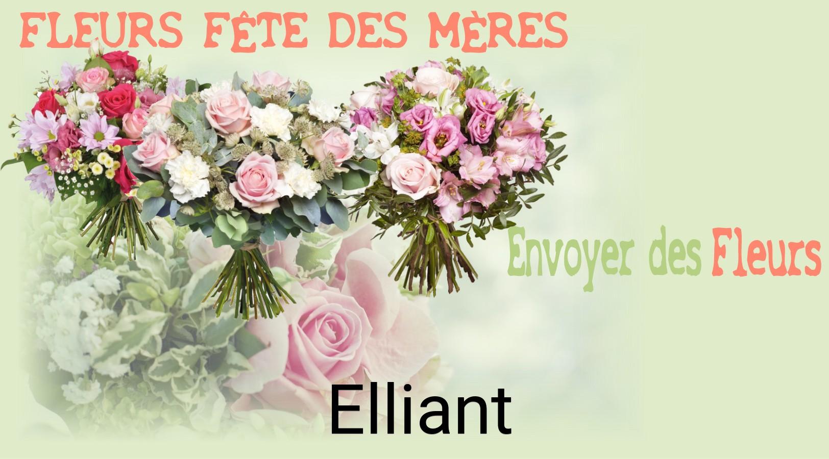 Bouquet de Fête des Mères livré à Elliant